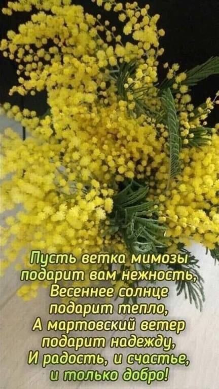 подарит тр рим