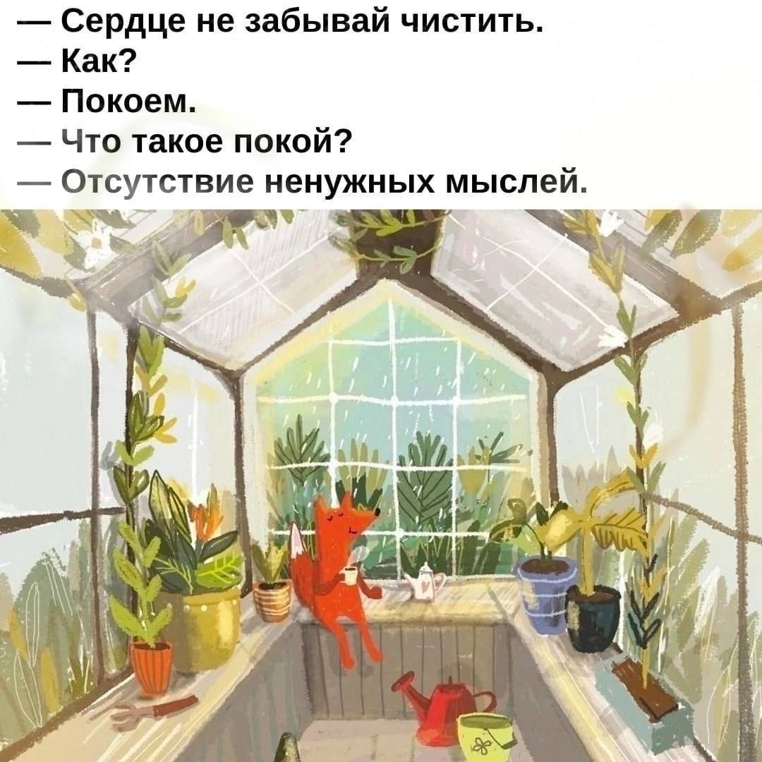 Сердце не забывай чистить Как Покоем Что такое покой Отсутствие ненужных мыслей
