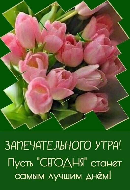 ЗАПЕЧДТЕЛЬНОГ О УТРА Пусть СЕГОАНЯ станет самым Аучшим Анёмі