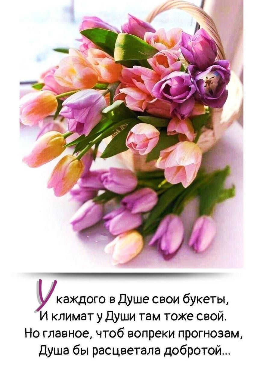 каждого в Душе свои букеты И климат у Души там тоже свой Но главное чтоб вопреки прогнозам Душа бы расцветала добротой