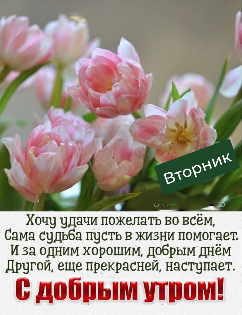 Хочу удачи пожелать во всём Сама сцдьба тщсть в жизни помогает и за одним хорошим добрым днём Другой еще прекрасней наступает добпым шпон