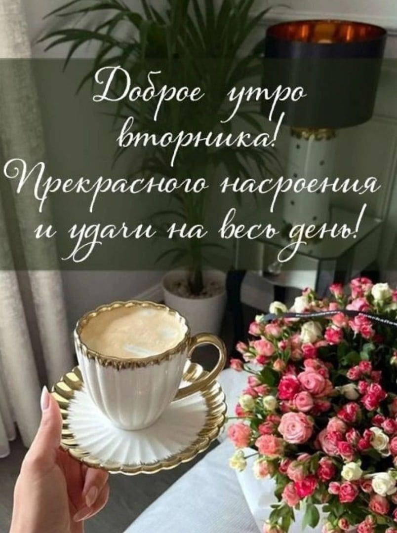 тоанши СОРя