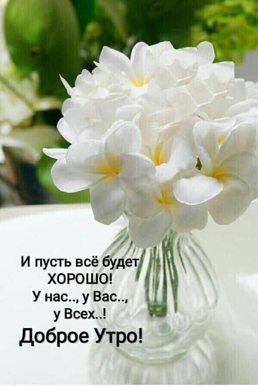 дитё Нт И пусть всё будет ХОРОШО У нас у Вас у Всех Доброе Утро
