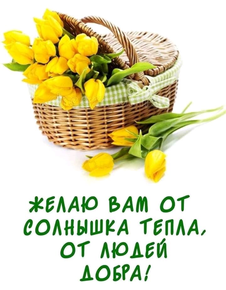 ЁААЮ БАМ ОТ СОАННШКА ТЕМА ОТ МОАЕЙ АОБРА