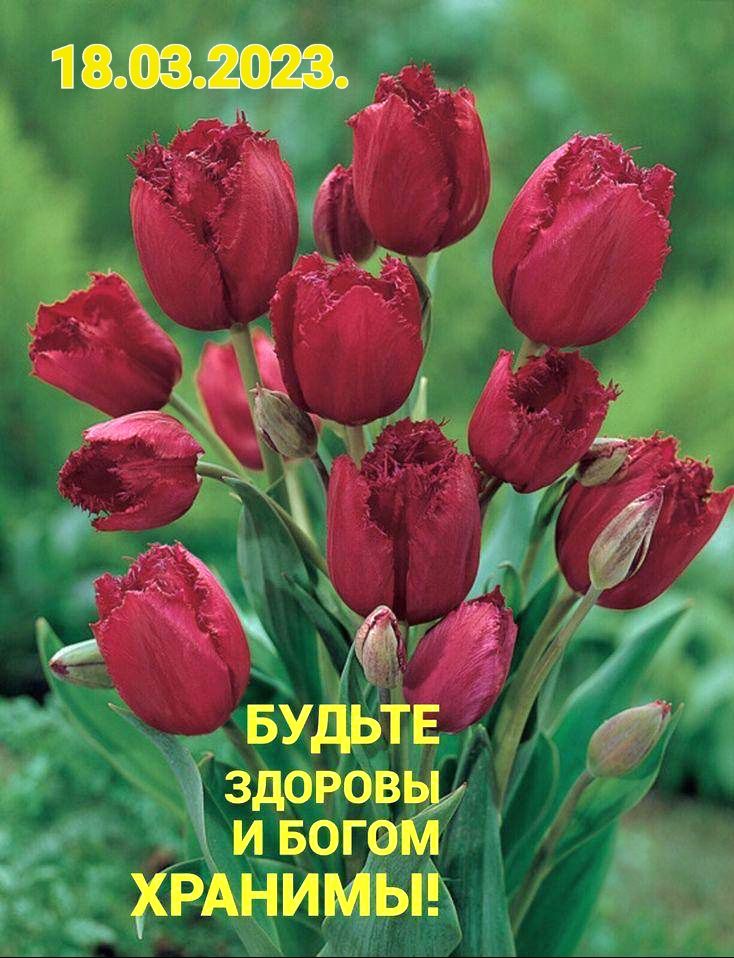 ЖР РАНИМЫЬ