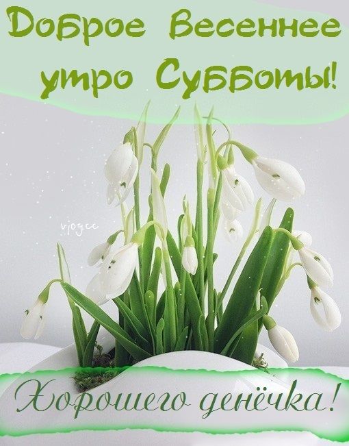 Бобров Весеннее утро Субботы