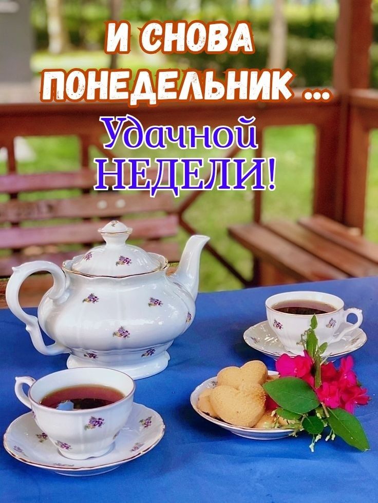 НЕДЕЛИ