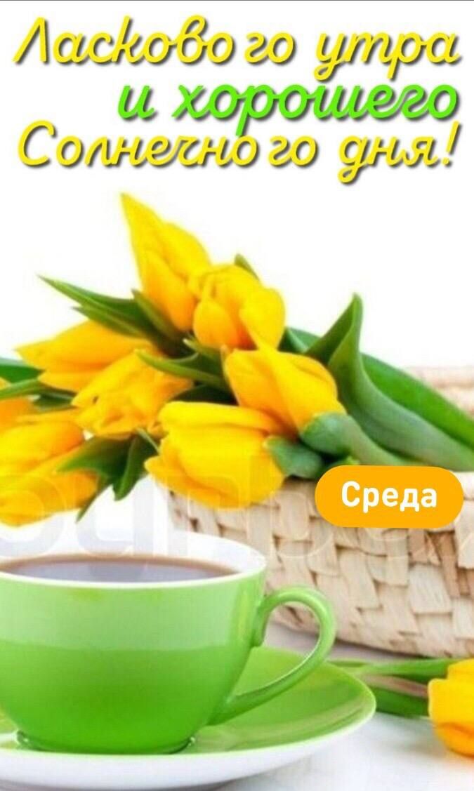 Лаас4989 39 ты _ и Сети и юга 791