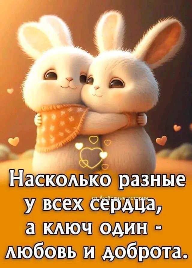 аКчцип Ап