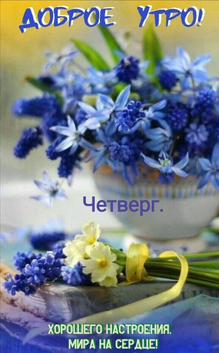 МАРА НА СЕРДЦЕ