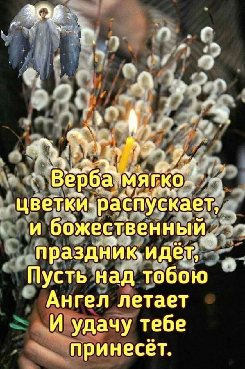 пКа ра ик идер а Пустьнад тобою Ангел летает