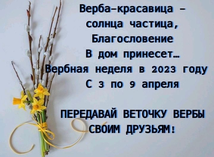 солнца частица Благословение В пои принесет рбная неделя в 2023 году С 3 по 9 апреля Вербакрасавица веточку верны свот друзьям