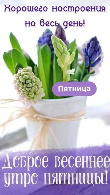 Норошедо настроения но бес день