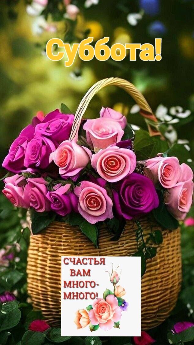 СЧАСТЬЯ ВАМ много много ы