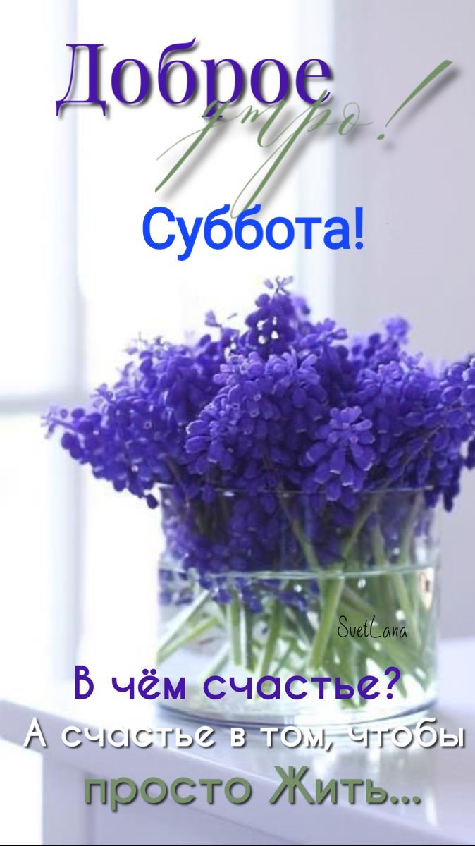 А считаЗ Ром чтбы просто Жить