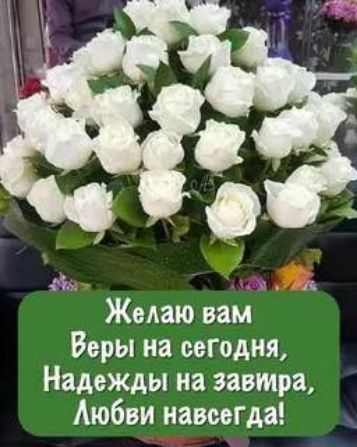 Желаю вам Веры на сетдня Надежды на завтра Аюбви навсегда