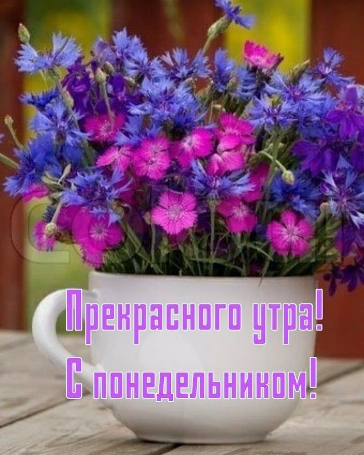 Прёнршднпгп _пра Еланэдёпьнинпмі
