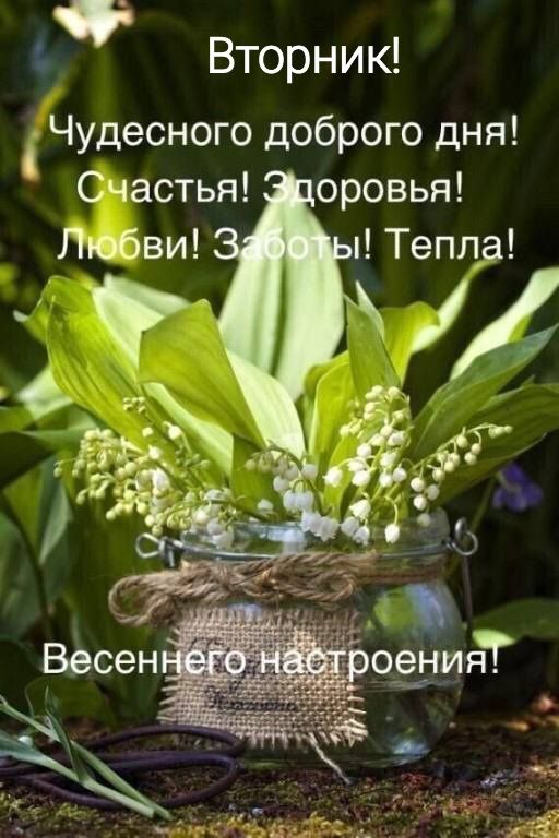 5 Вторник Чудесного доброго дня Счастья оровья