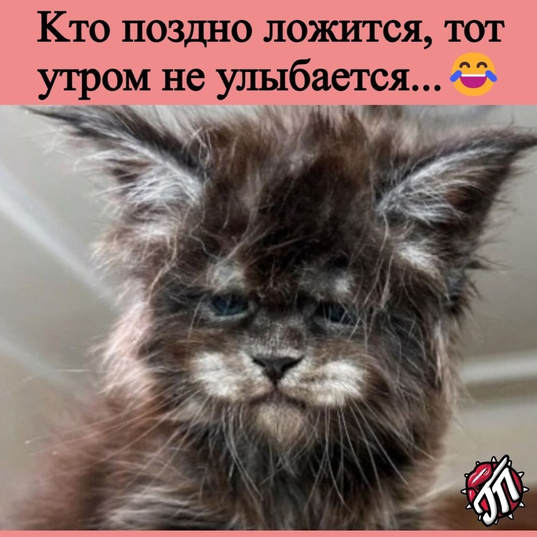 Кто поздно ложится тот утром не улыбается _ __