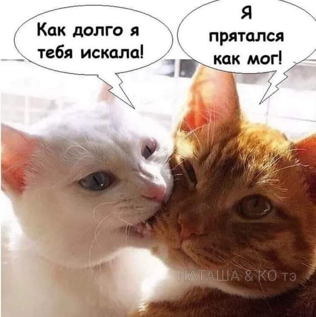 А я Как долго я прятался тебя искалаі как моГ