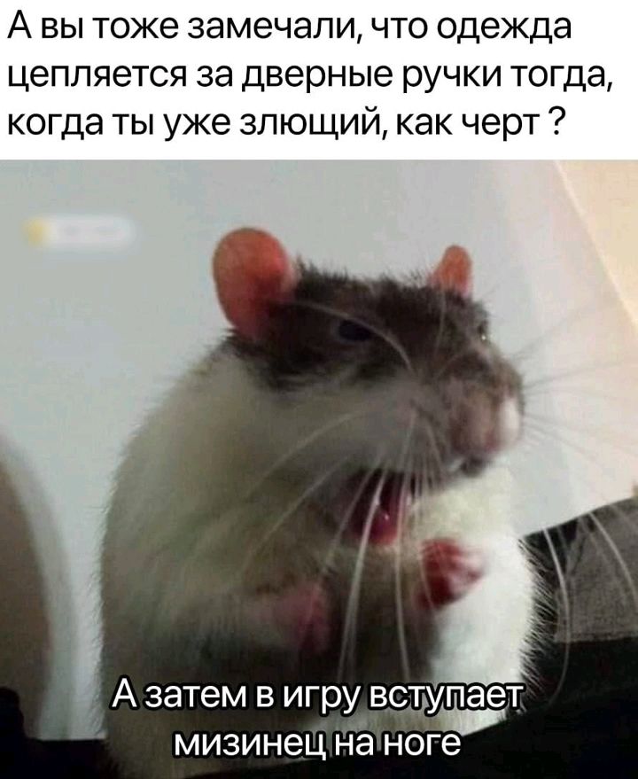 А вы тоже замечали что одежда цепляется за дверные ручки тогда когда ты уже 3лющий как черт _ А затем в игру вступает мизинец на ноге