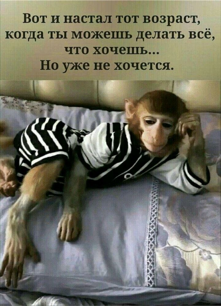 Вот и настал тот возраст когда ты можешь делать всё что хочешь