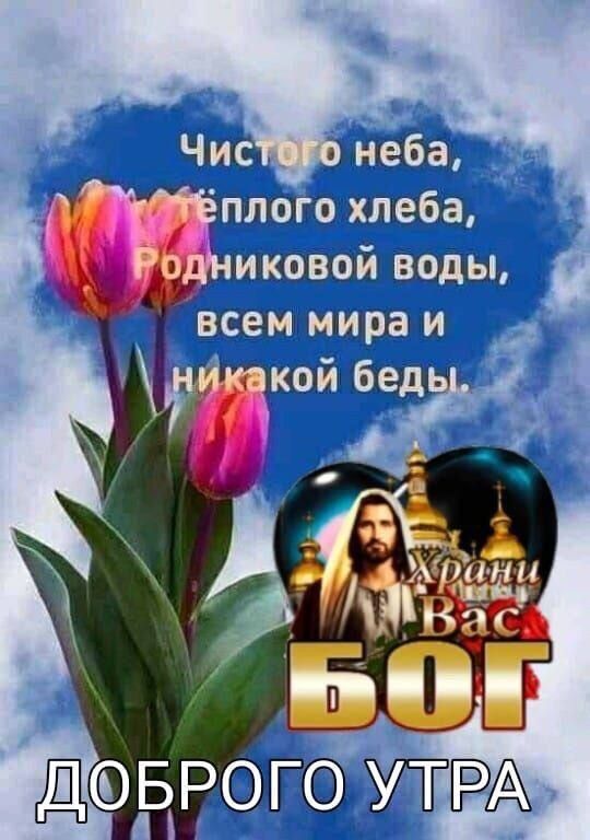 К ЦЁЁТЁ динамит 4161 Шади