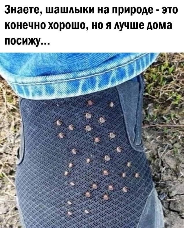 Знаете шашлыки на природе это конечно хорошо но я Аучше дома