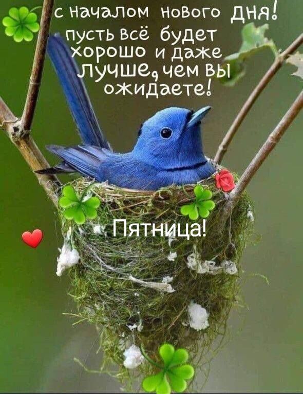орошо и даже учшедчем вы ожидаете