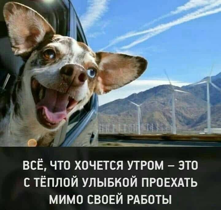 всЁ что хпчвтся утром это с тёплой улывкой пговхдть мимо свовй РАБОТЫ