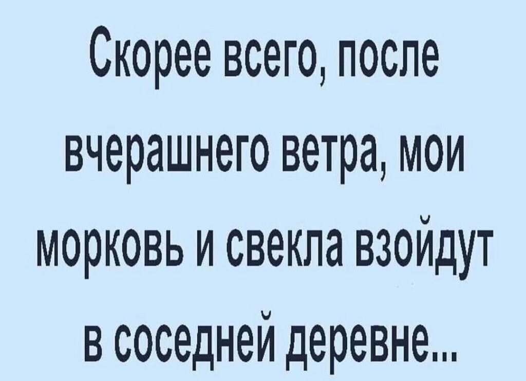 Скорее всего после вчерашнего ветра мои морковь и свекла взойдут в соседней деревне