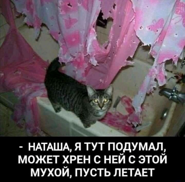 НАТАША я тут пчдУмдлд может _РЕН с нви этои мухои пусть ЛЕТАЕТ