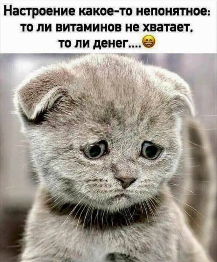 Настроение какое то НЕПОНЯТНОЕ ТО ЛИ витаминов не ХВЗТЁЁТ ТО ЛИ дЕНЕГё Чп