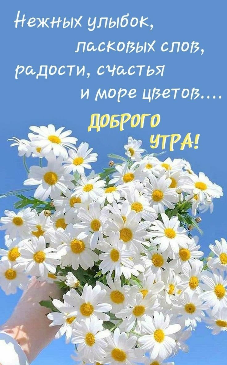7 ДоОБ