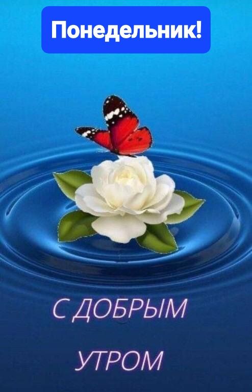 Понедельник С ДОБРЬМ УТ РОМ