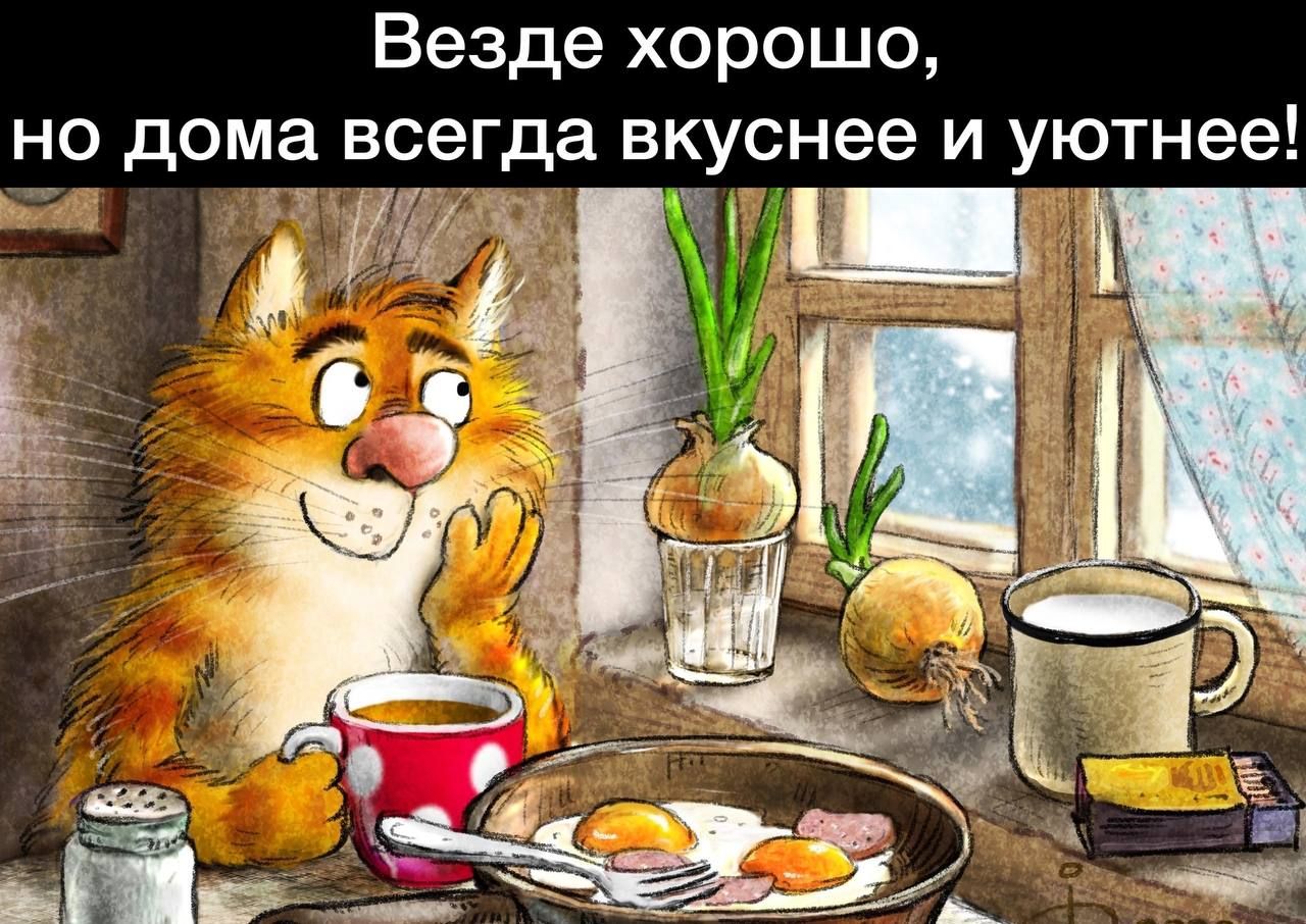 Иллюстрация утро. Коты Ирины Зенюк 2020. Рина Зенюк 