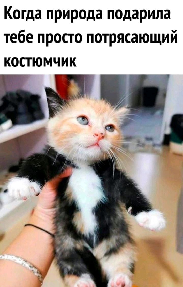 Когда природа подарила тебе просто потрясающий КОСТЮМЧИК