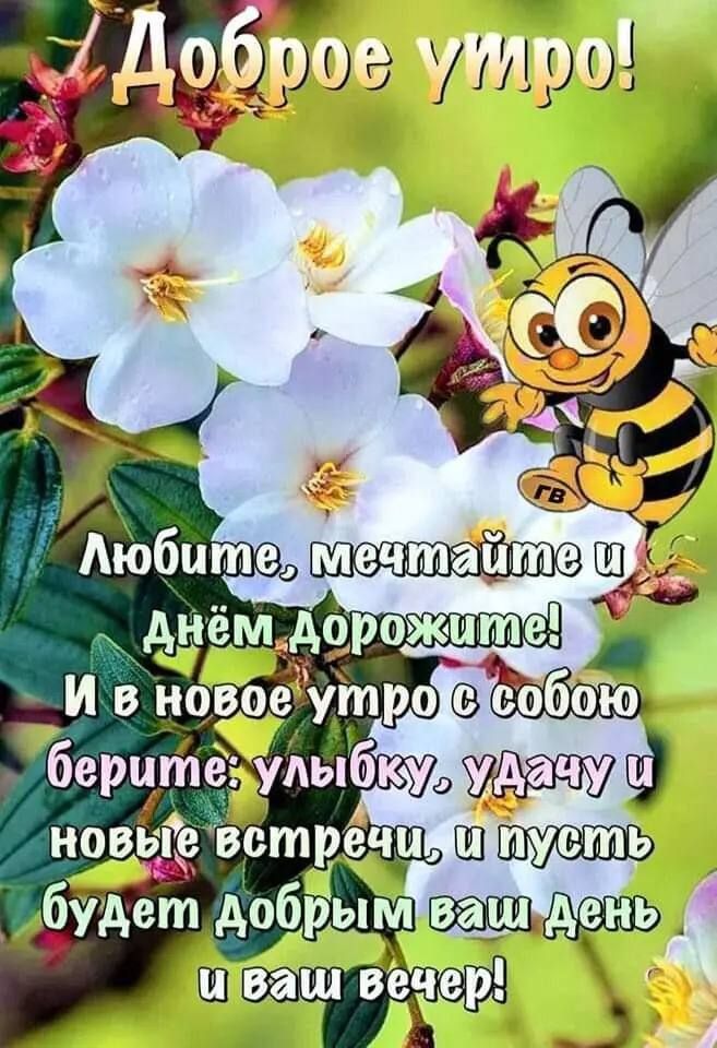 ш орожпте