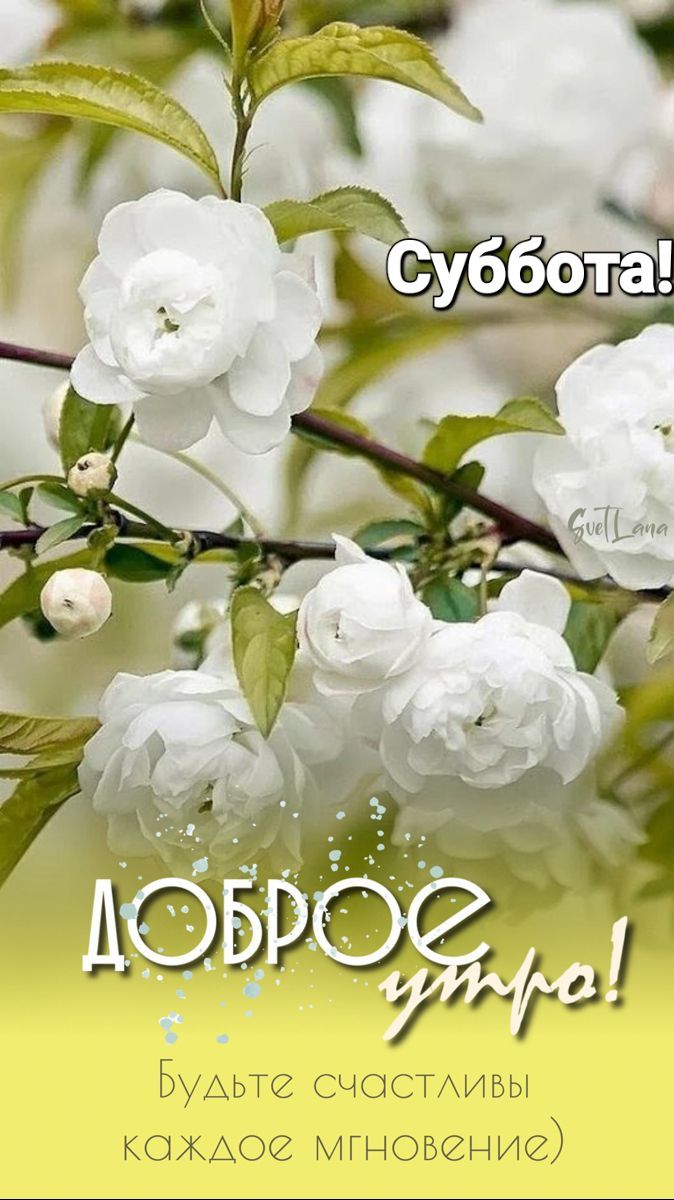 БуАьте счосиивы каждое ГНОБНИ