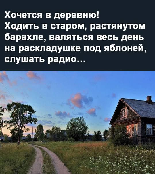 Хочется в деревню Ходить в старом растянутом барахле валяться весь день на раскладушке под яблоней слушать радио