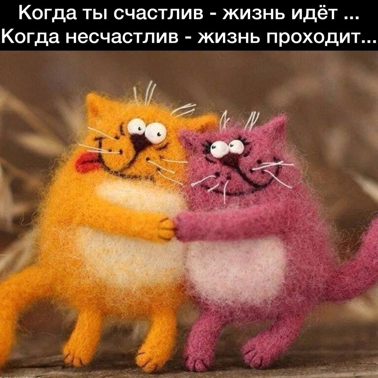 Когда ты счастлив жизнь идёт Когда несчастлив жизнь проходит
