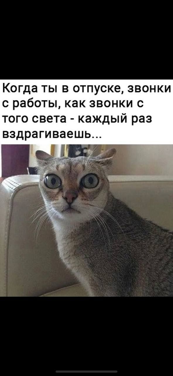 Когда ТЫ В ОТПУСКЗ ЗВОНКИ С работы как ЗВОНКИ С ТОГО СВЕТЕ каждый раз вздрагиваешь в гт_