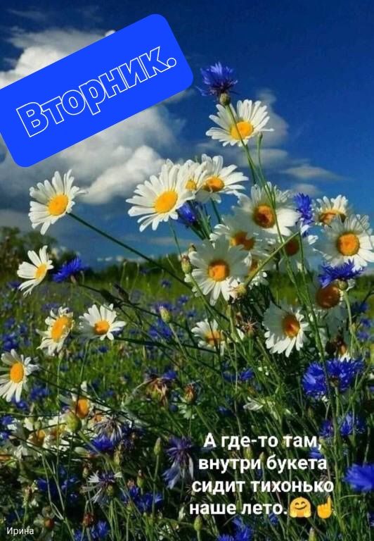 Ата тэгами внучрИбуе ридиТтих нь 4_ нашелеіо