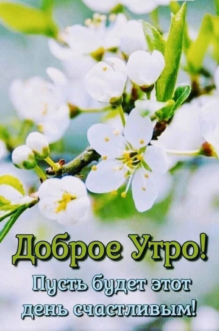 ітпз ім 4 г _ и _ ет счастливым