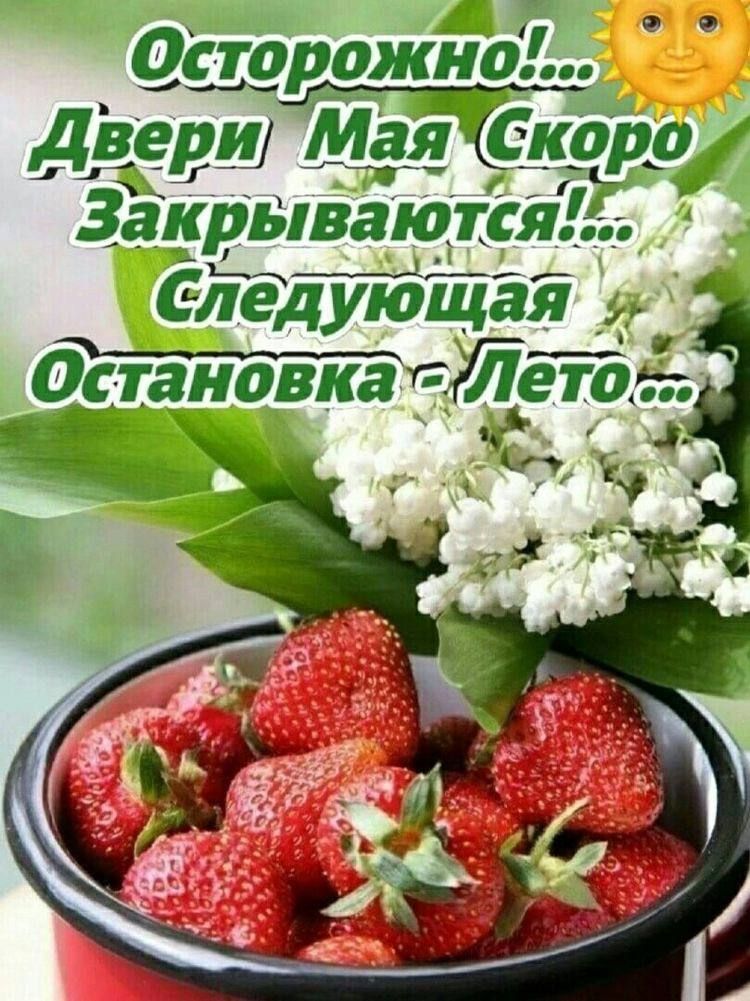 в Осторожно Дверштйсу 3акрываются Следующая _ тапбтгУТето