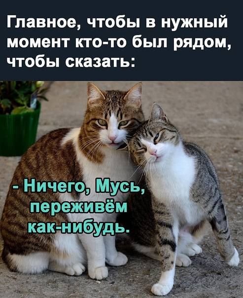 Главное чтобы в нужный момент кто то был рядом чтобы сказать Ничего переживём как нибудь