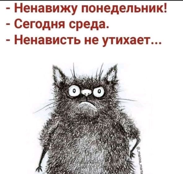 Ненавижу понедельник Сегодня среда Ненависть не утихает