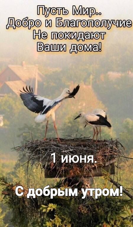 ьщр ПиПБ Вашид