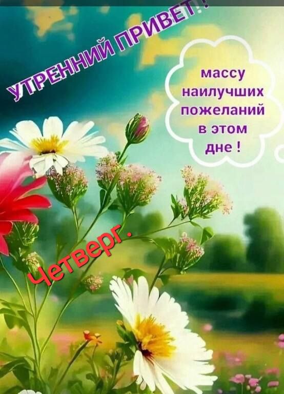 наилучших пожеланий В ЭТОМ днс