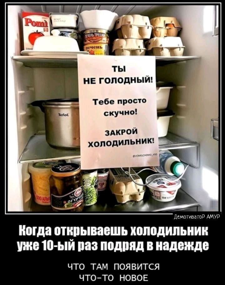 НЕ ГОПОЦНЫИ Тебе Рапп скучно здкгои хопопипьникх когда открываешь холодильник уже іо ый паз подвид в надежде ЧТО ТАМ ПОЯВИТСЯ ЧТО ТО НОВОЕ